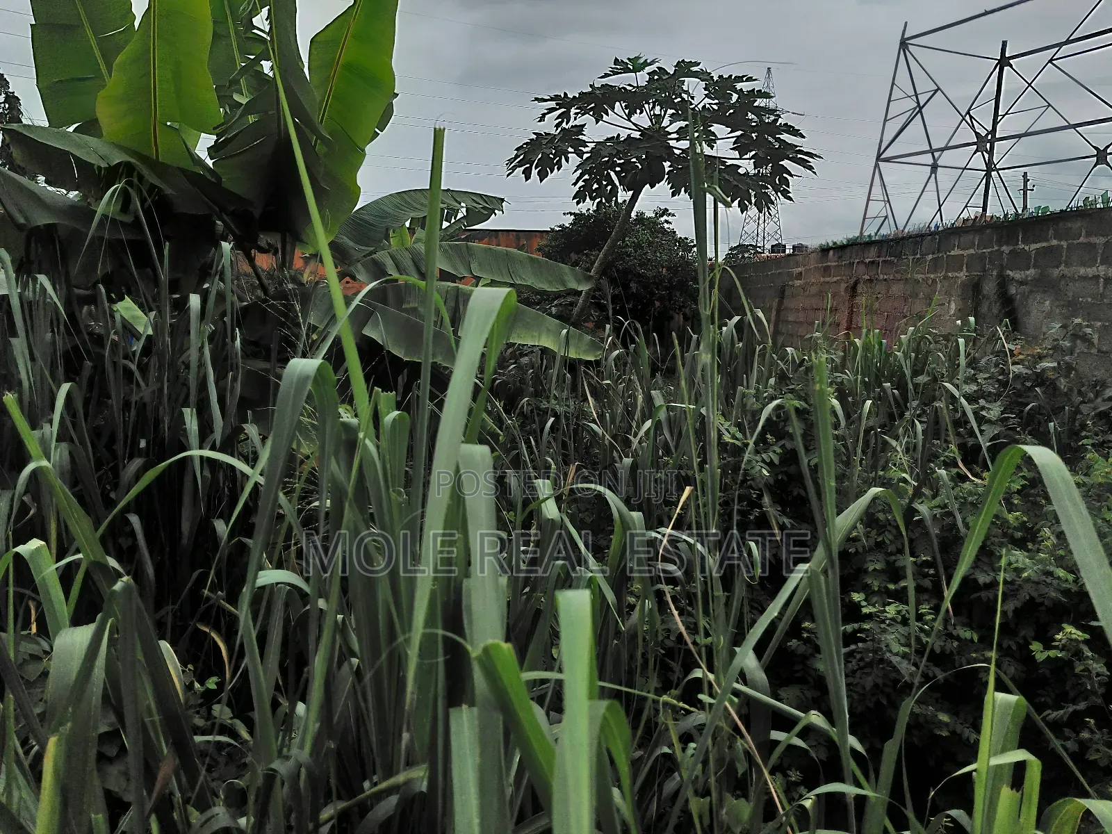 6 Plots Land 4 Sale at Shasha, Egbeda Alimosho in Shasha