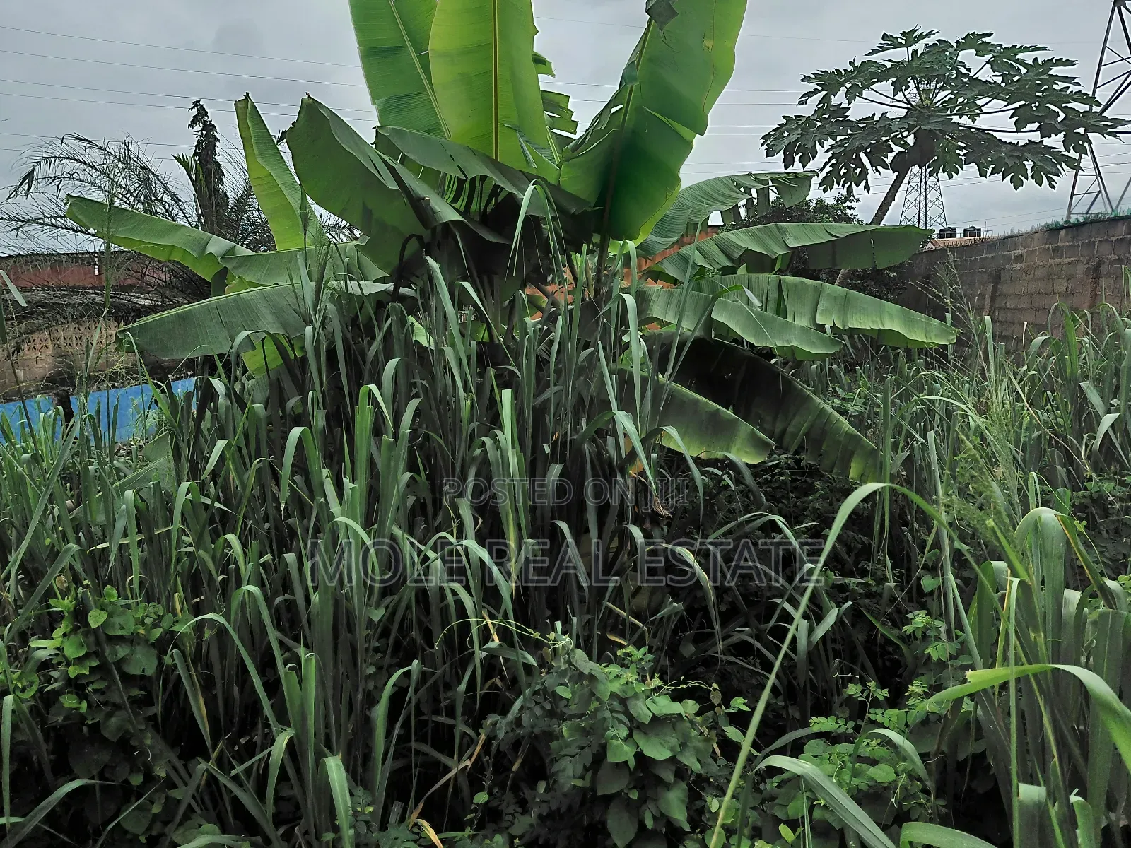 6 Plots Land 4 Sale at Shasha, Egbeda Alimosho in Shasha