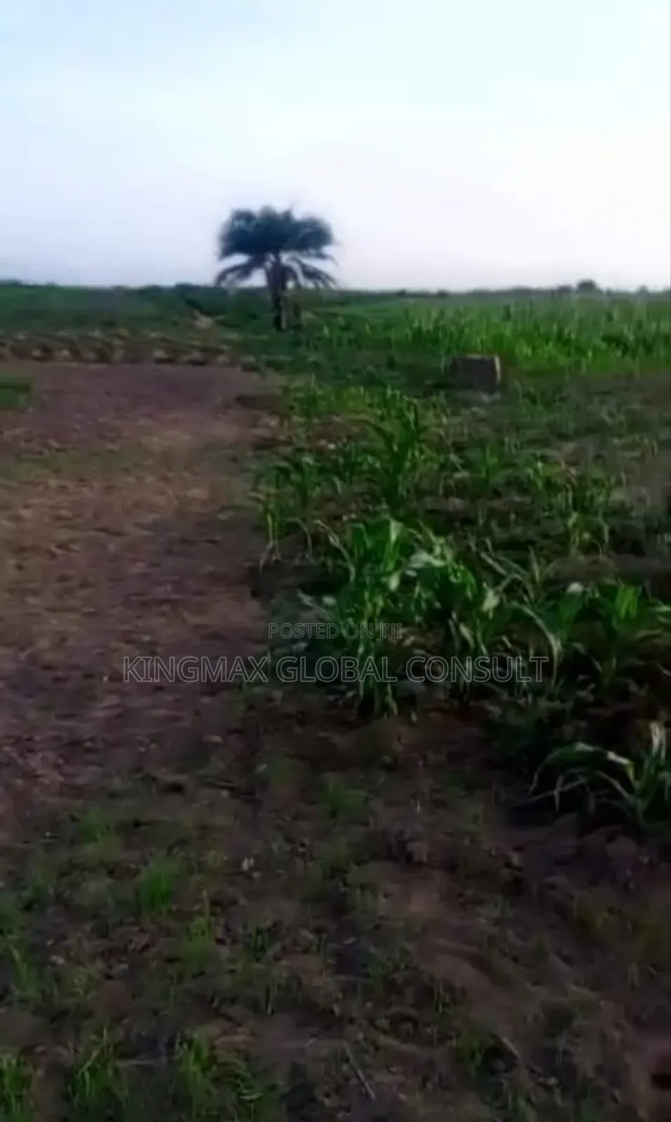 Land for Sale:61.11 Hectares: R of O. Purpose: Mixed Use_multipurpose in Lugbe District