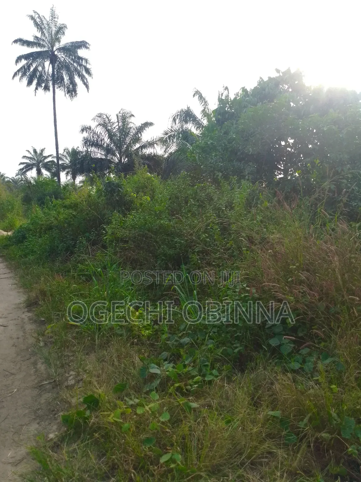 Distress Genuine Mass Land for Sale in Port-Harcourt