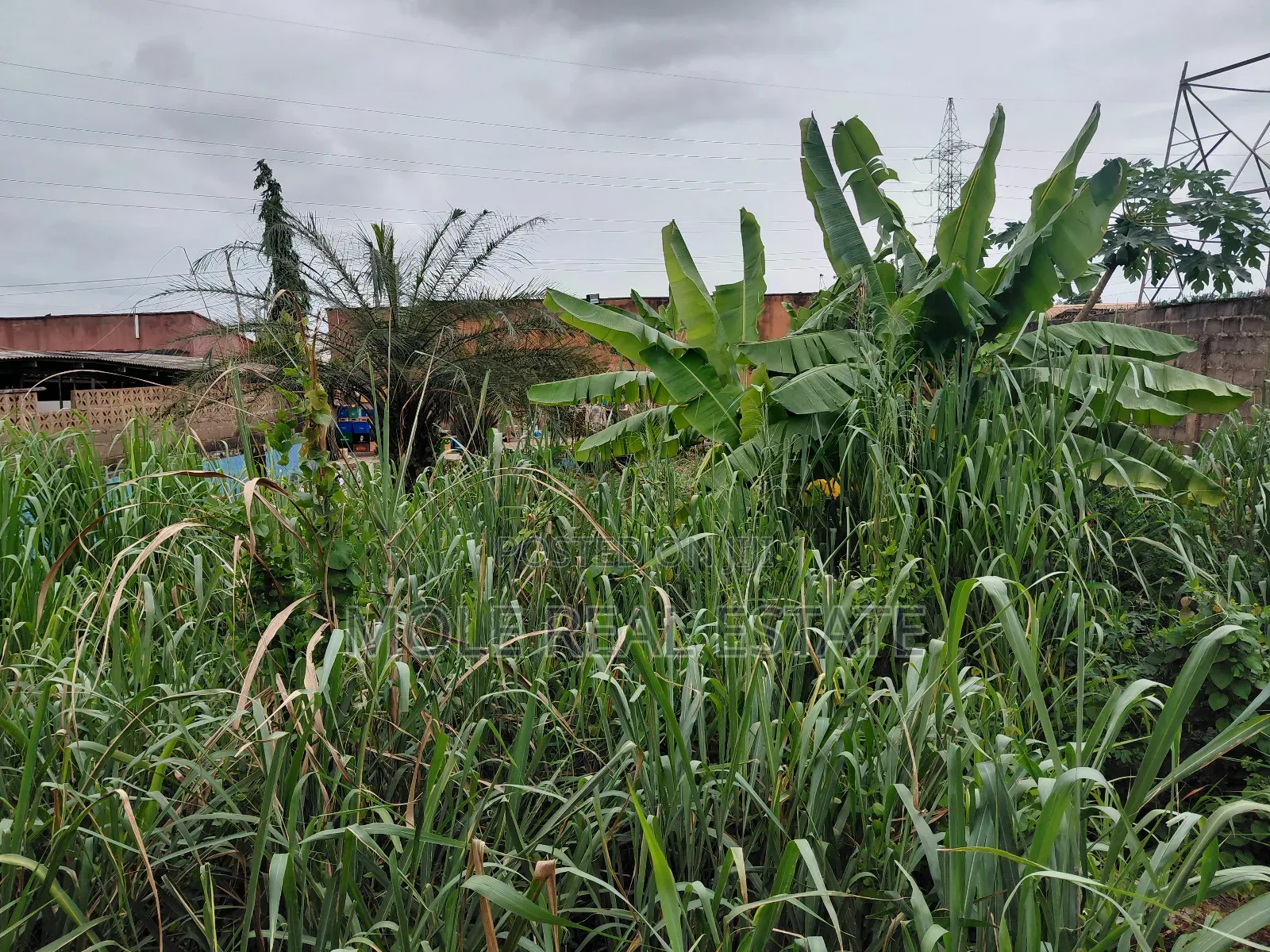 Half Plot of Land Opic Estate Close to Road in Ikeja