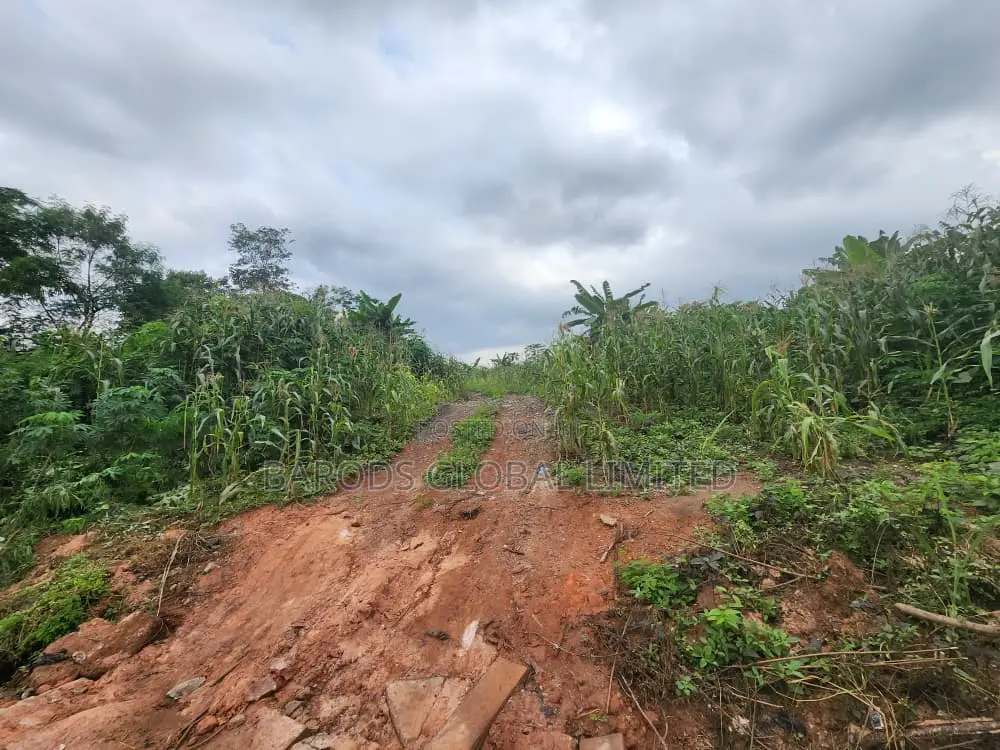 Fenced Land Plots for Sale- Perfect for Home or Business in Abeokuta South