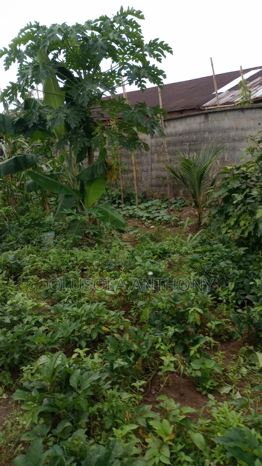 5 Plots of Land for Sale in Port Harcourt,Nigeria in Shell Location