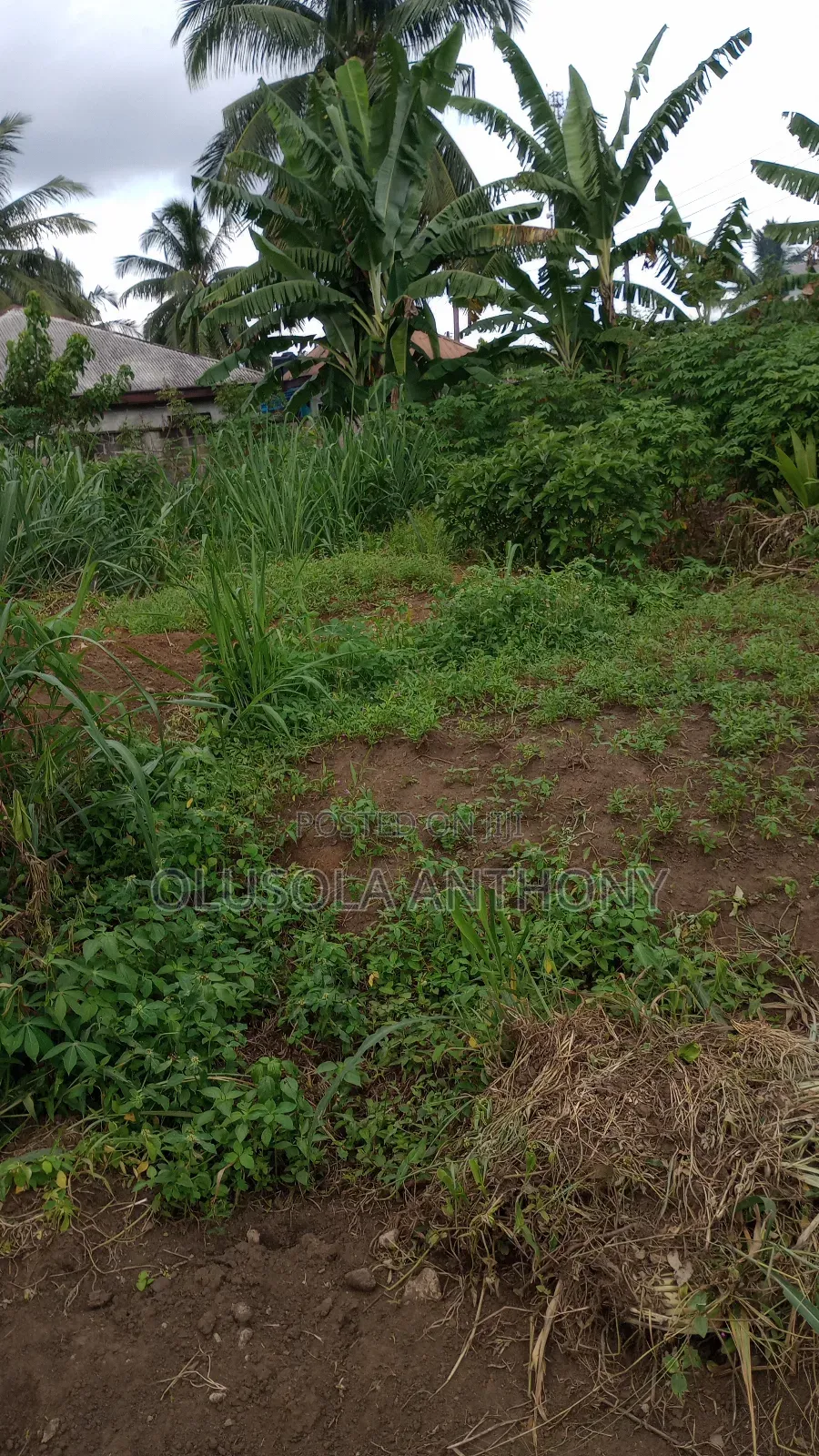 5 Plots of Land for Sale in Port Harcourt,Nigeria in Shell Location