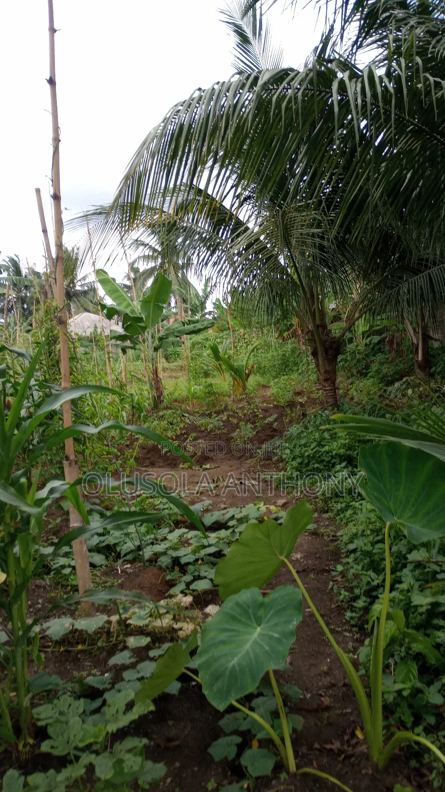 5 Plots of Land for Sale in Port Harcourt,Nigeria in Shell Location