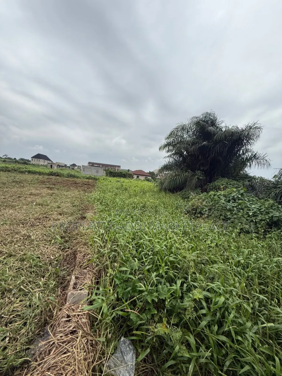 Distressed 2 Plots of Land for Sale in Ikotun / Ikotun/Igando