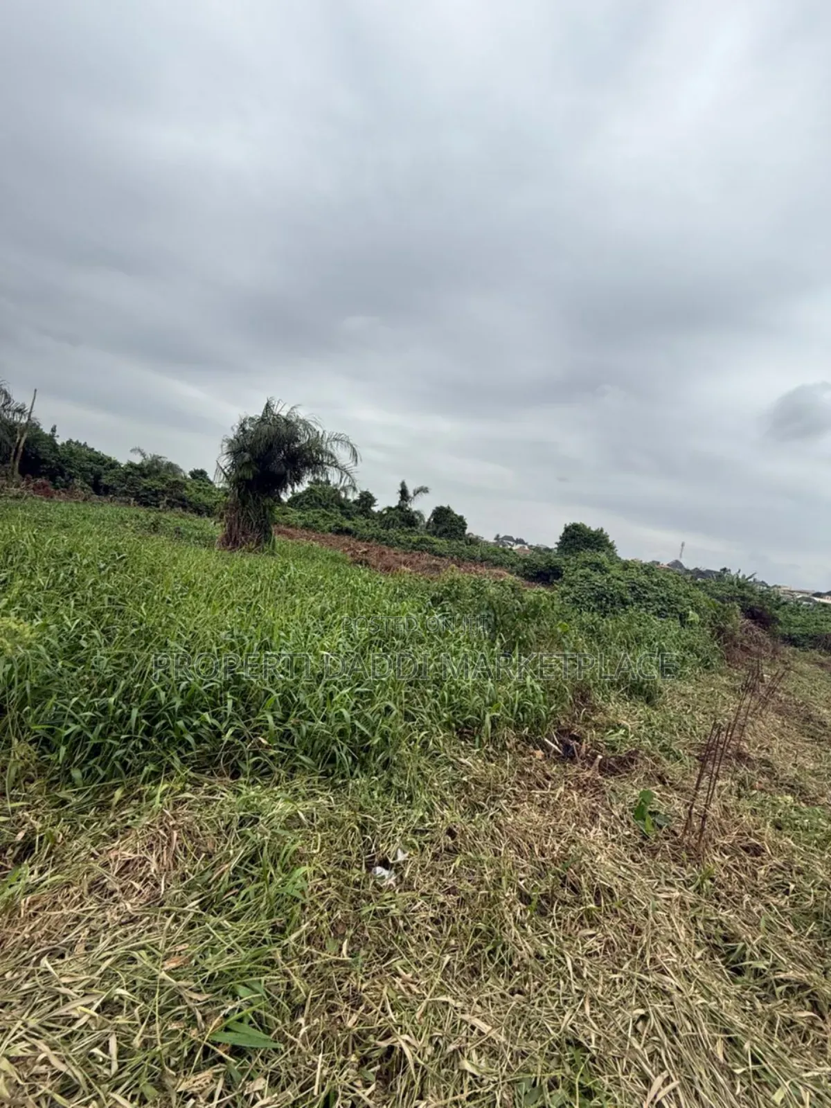 Distressed 2 Plots of Land for Sale in Ikotun / Ikotun/Igando