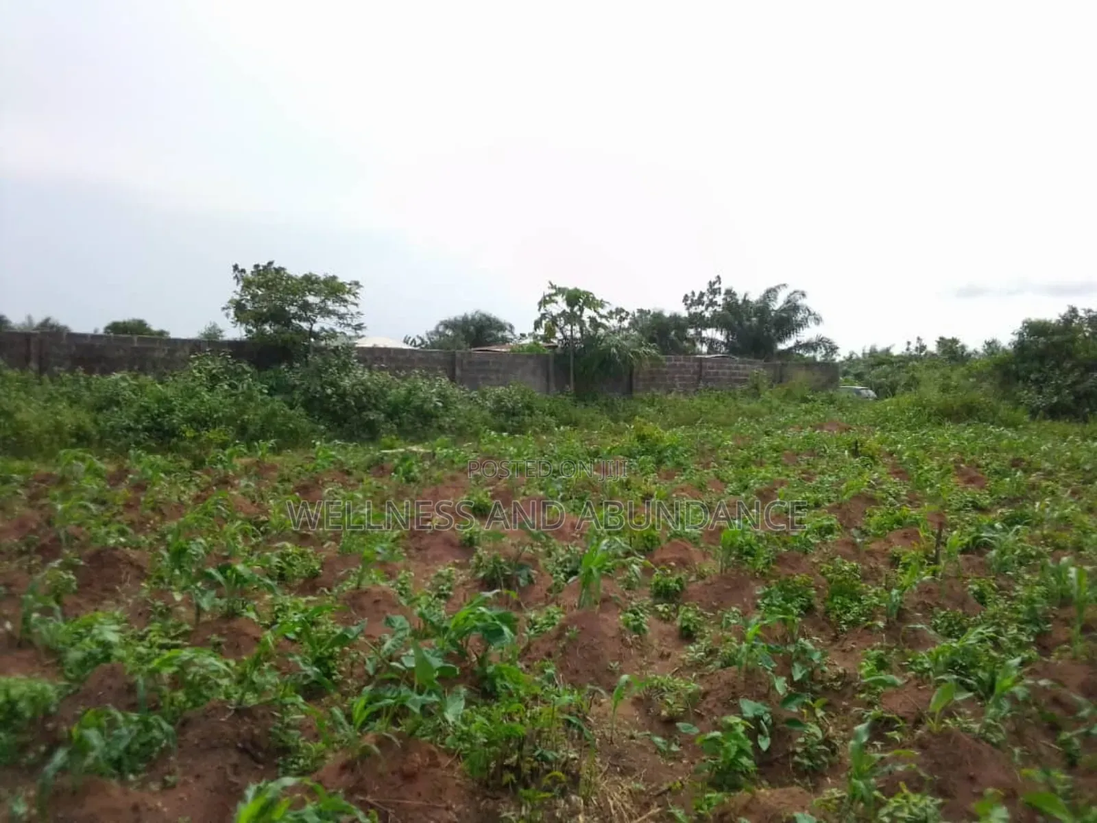Fenced 5 Plots of Virgin Dry Land, No Agency Fee Payment in Ado-Odo/Ota