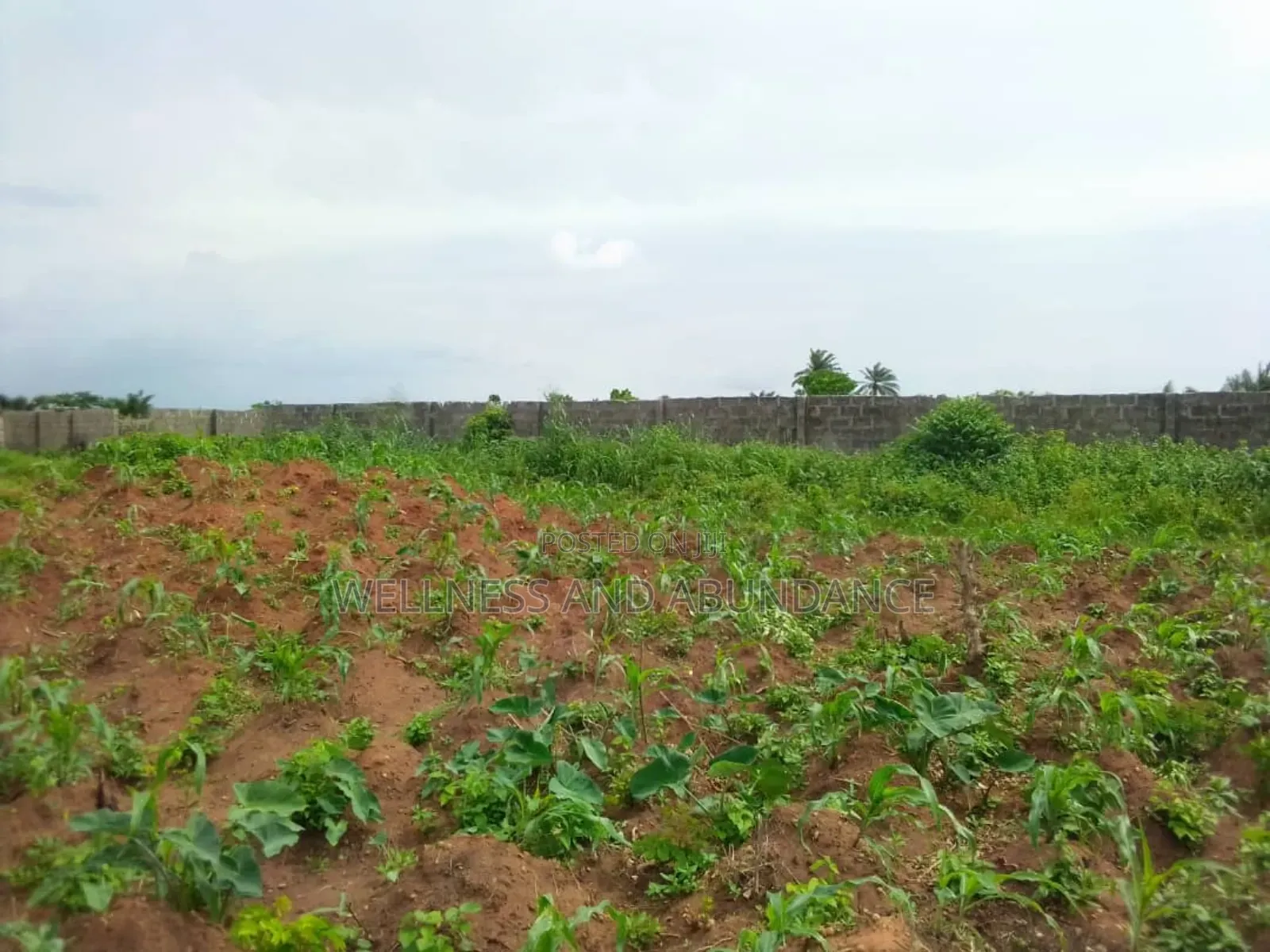 Fenced 5 Plots of Virgin Dry Land, No Agency Fee Payment in Ado-Odo/Ota