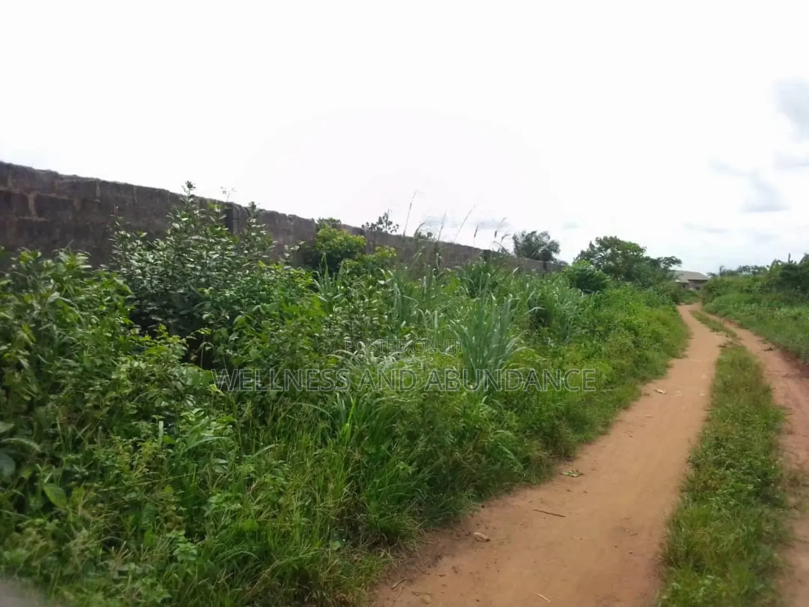 Fenced 5 Plots of Virgin Dry Land, No Agency Fee Payment in Ado-Odo/Ota