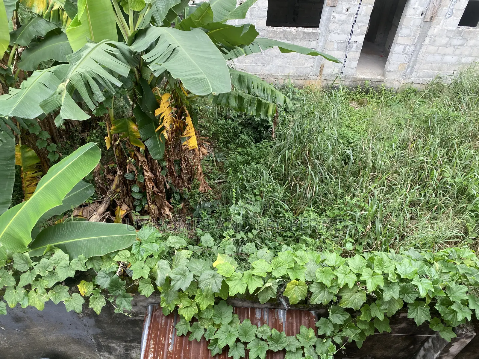 One Plot of Land for Sale in Trans Amadi