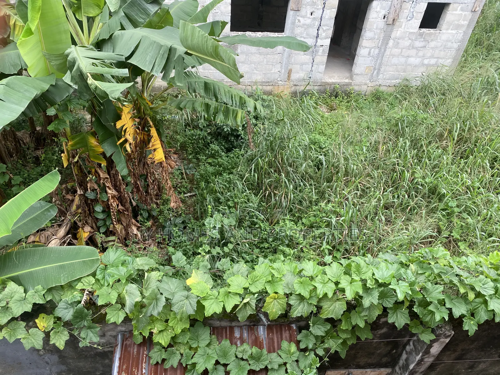 One Plot of Land for Sale in Trans Amadi
