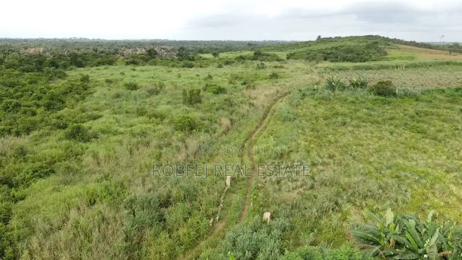 Juicy Offer 6 Acres Of Land in Ijebu Ode