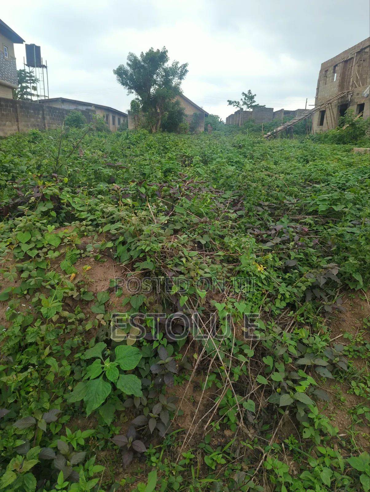 A Full Plot of Land for Sale in Ilesa