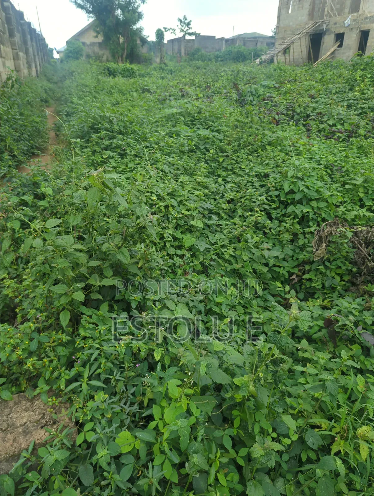 A Full Plot of Land for Sale in Ilesa