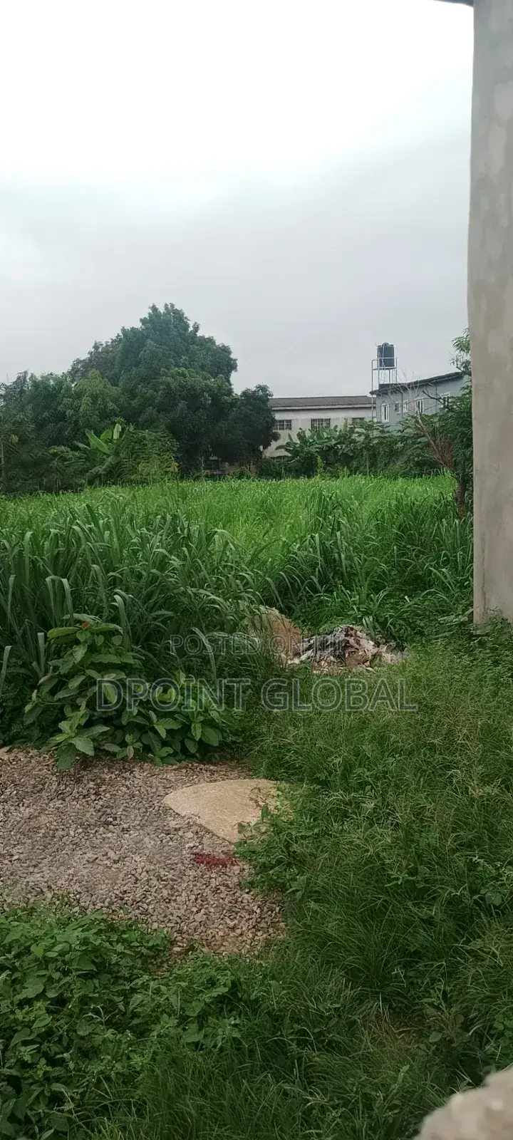 A Piece of Land in Boys Town