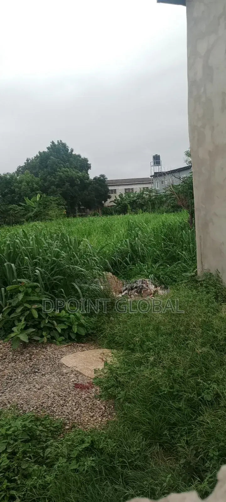 A Piece of Land in Boys Town