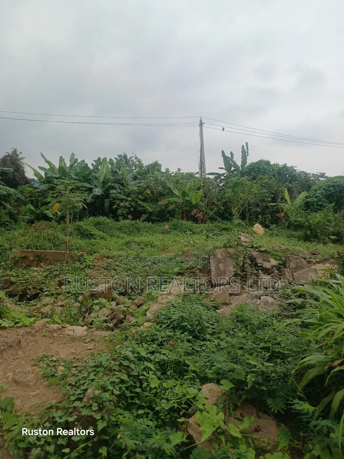 Land Measuring About 1000sm in Ibadan