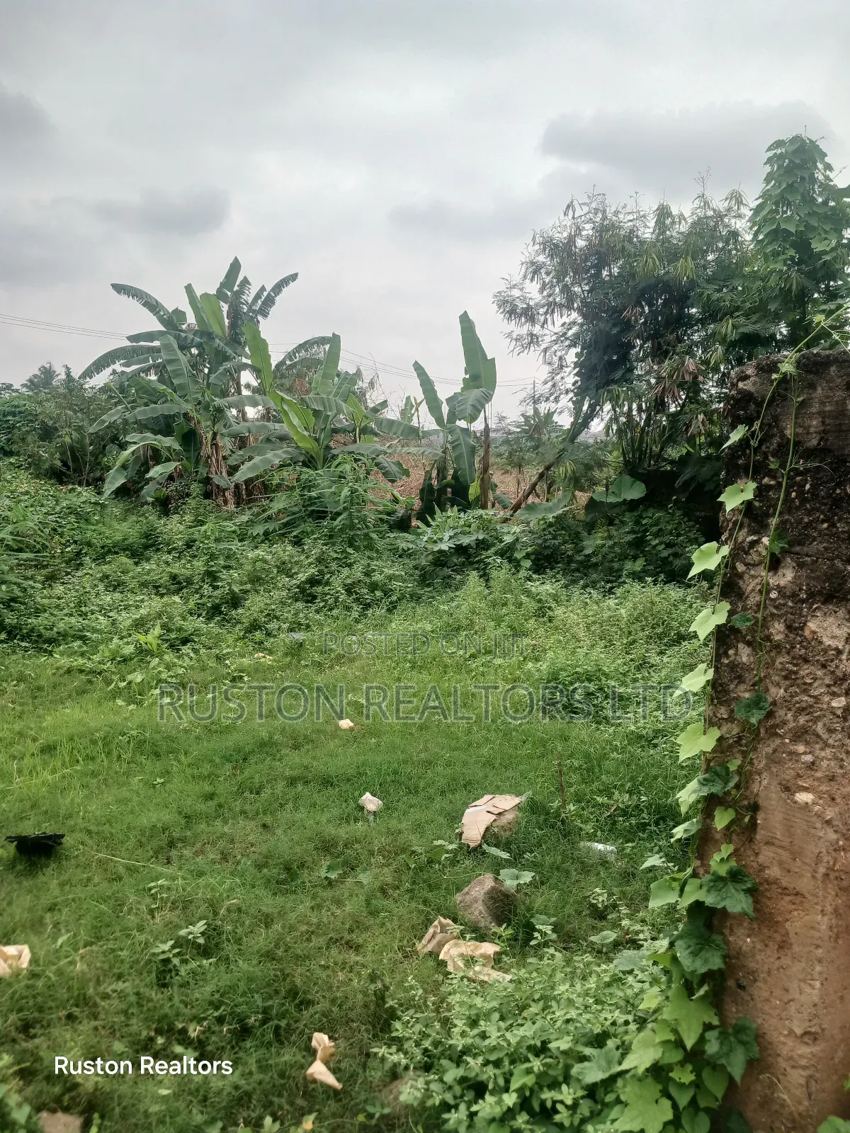 Land Measuring About 1000sm in Ibadan
