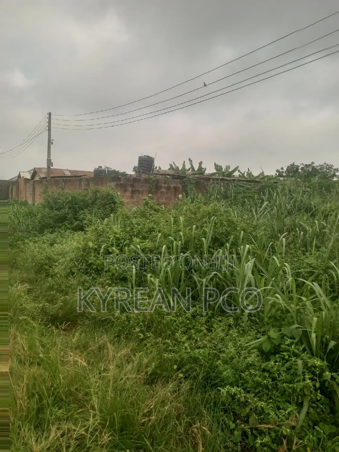 Pig Farmland in Ikorodu