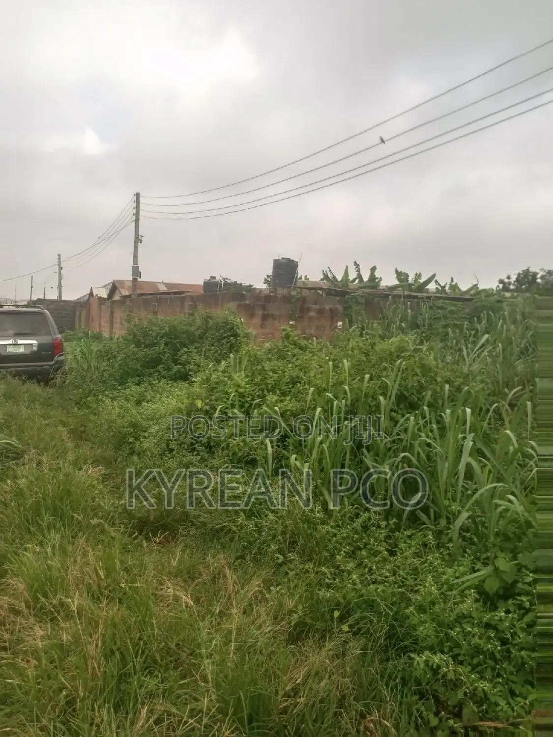 Pig Farmland in Ikorodu