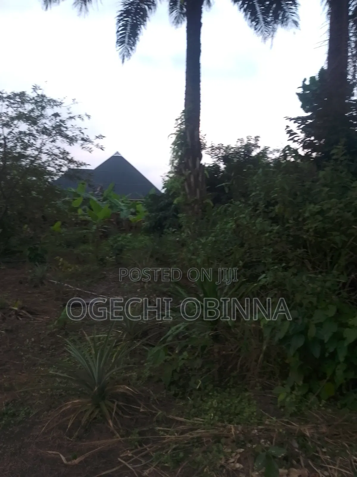 Distress Buy And Build Plot At Ulakwo Etche in Port-Harcourt