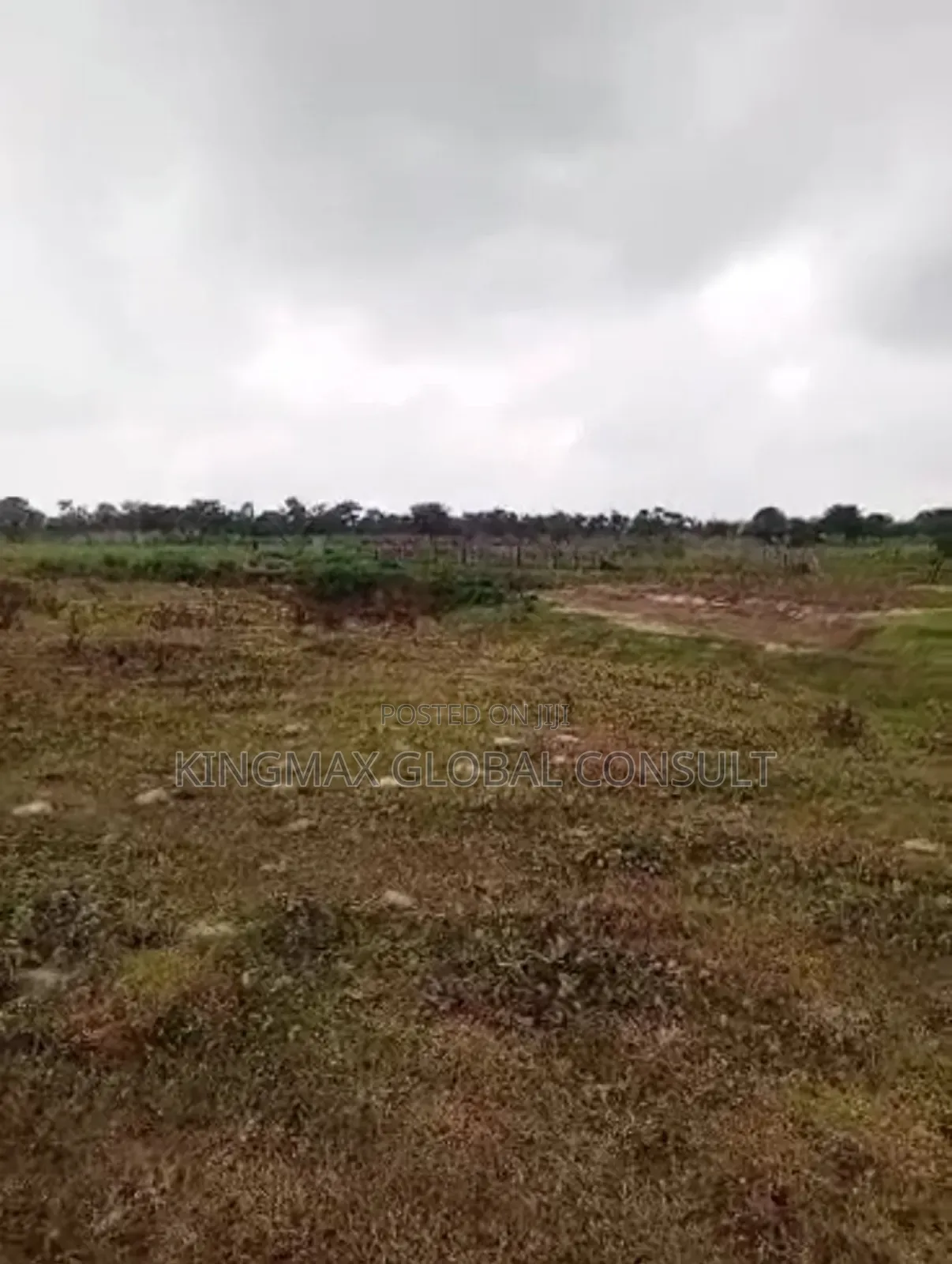 Plot 382 for Sale: Purpose: Commercial Size: 4240sqm Title: Cofo in Dape