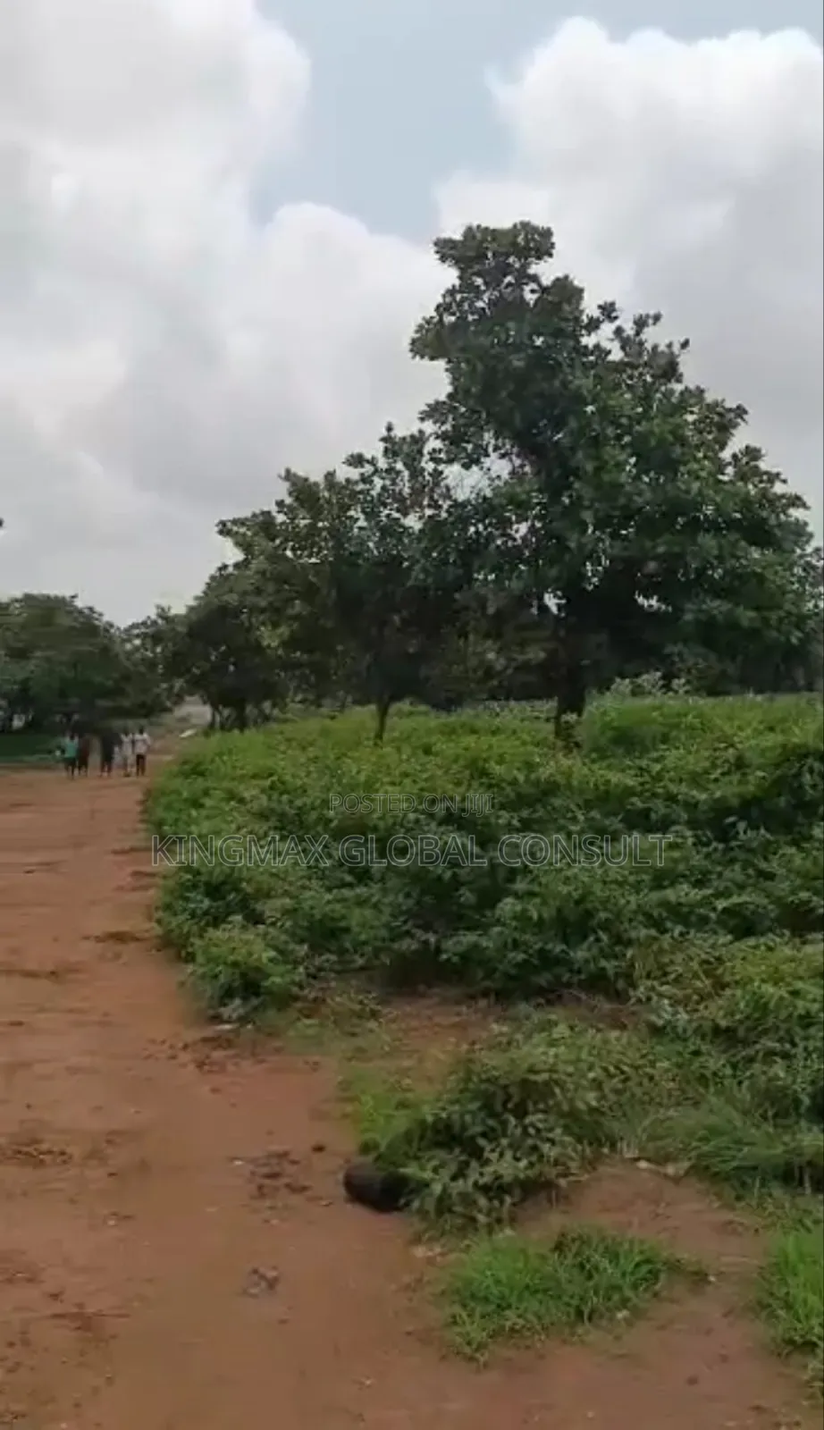 Commercial Land For Sale Size: 1.63 Hectares Title: Cofo in Maitama