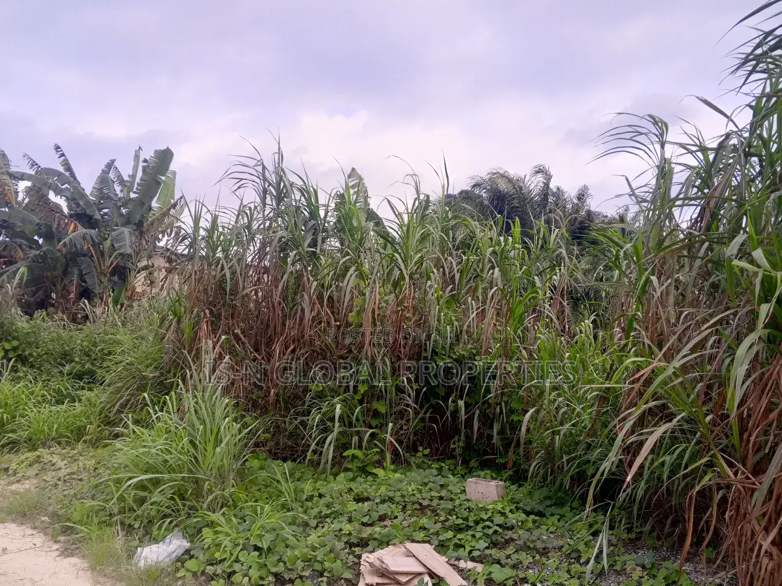 Land for Sale in Warri