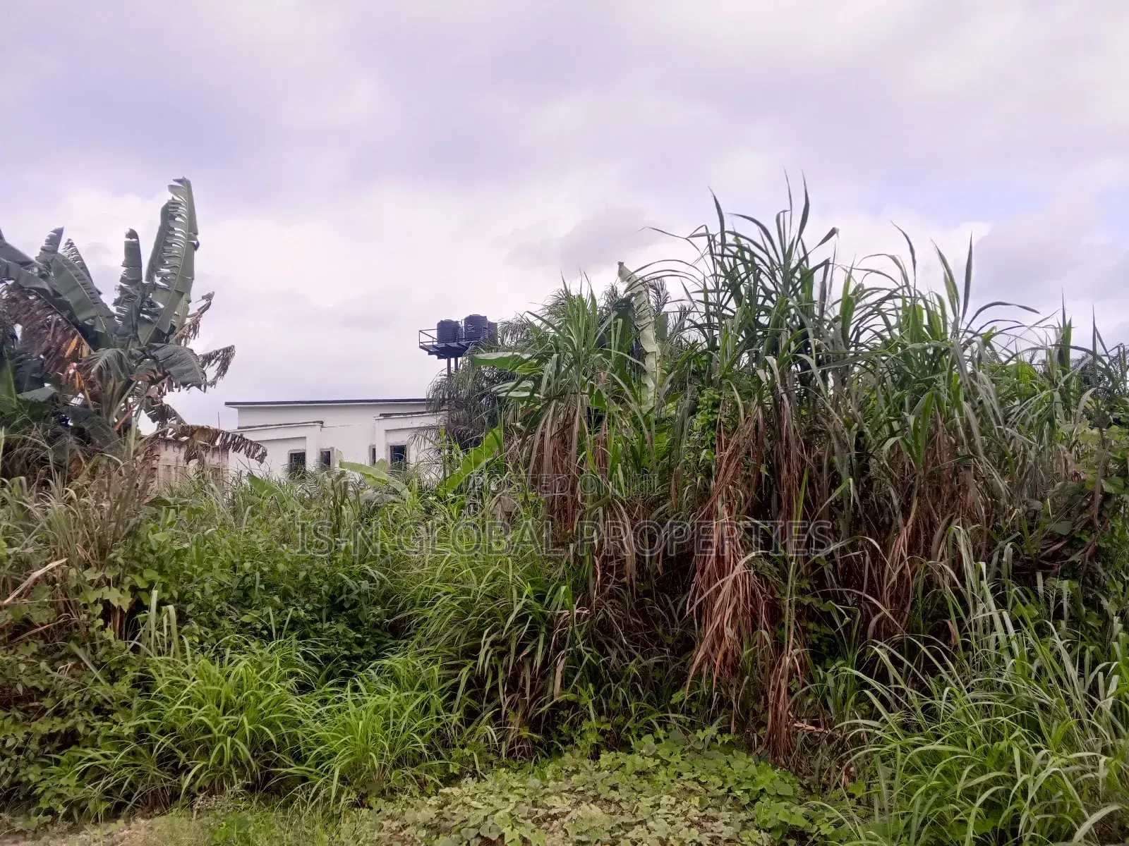 Land for Sale in Warri