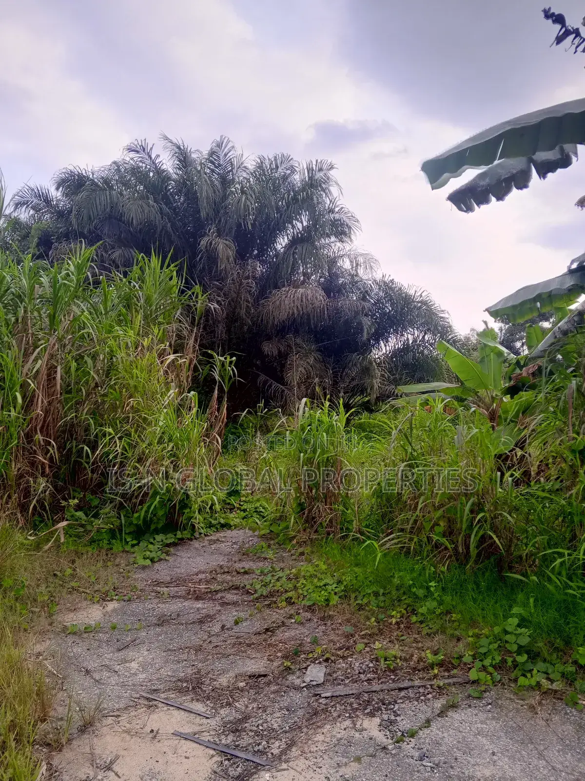 Land for Sale in Warri
