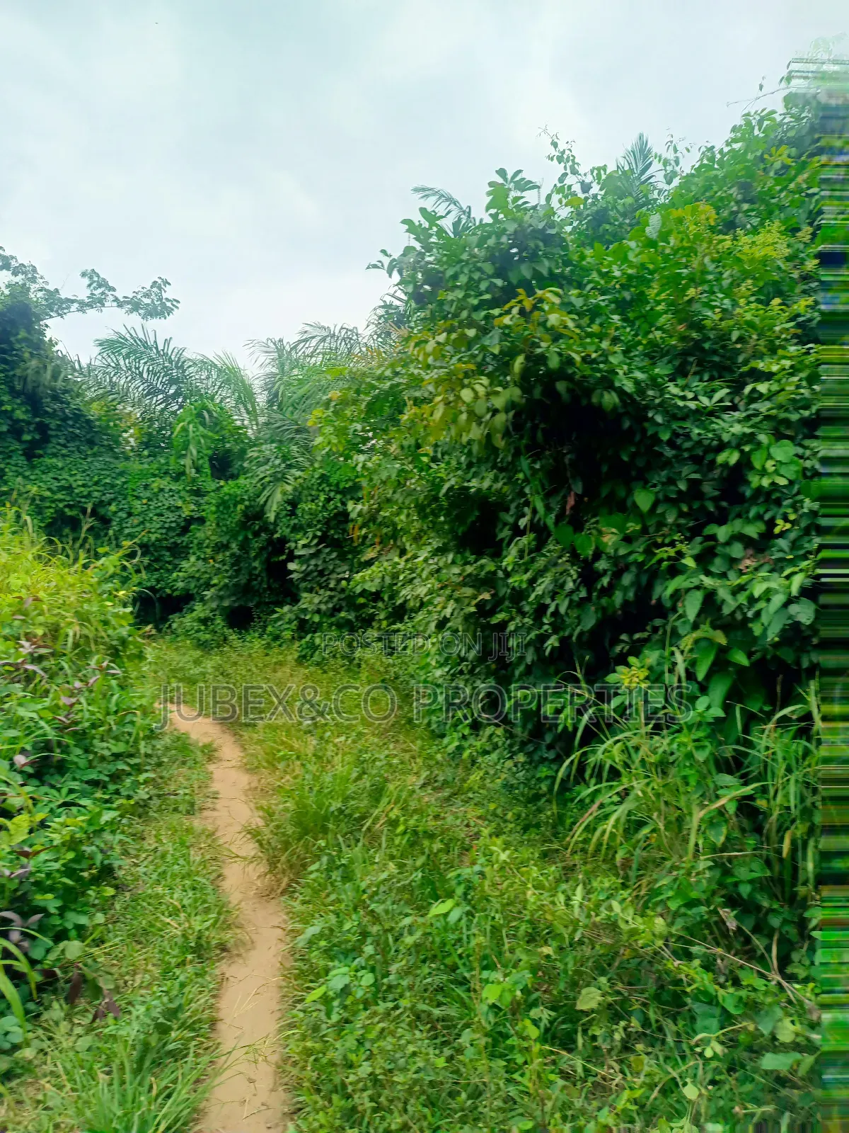 Farm Land Facing Express at Eredo Owode in Ado-Odo/Ota