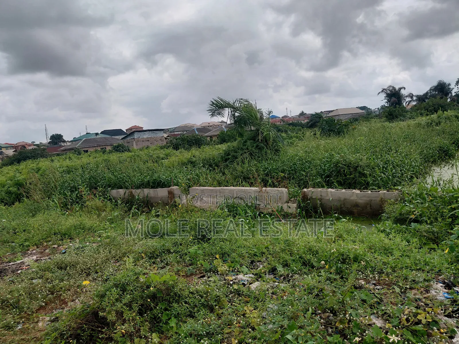 75ft by 145ft ( 1000sqm ) 2 Plot Ijegun Festac Lasu New Link Rd Lgos in Ijegun