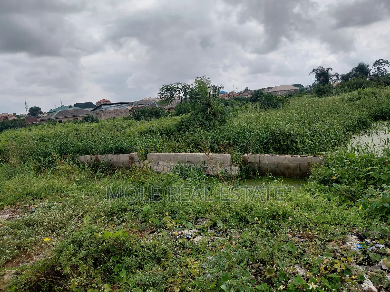 75ft by 145ft ( 1000sqm ) 2 Plot Ijegun Festac Lasu New Link Rd Lgos in Ijegun