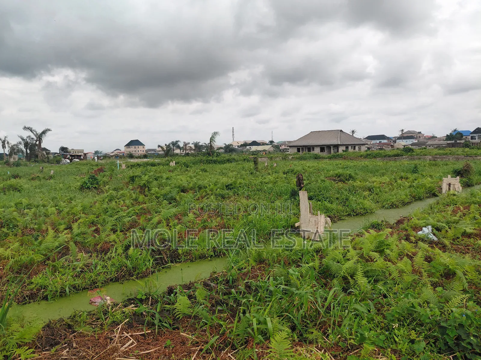 75ft by 145ft ( 1000sqm ) 2 Plot Ijegun Festac Lasu New Link Rd Lgos in Ijegun