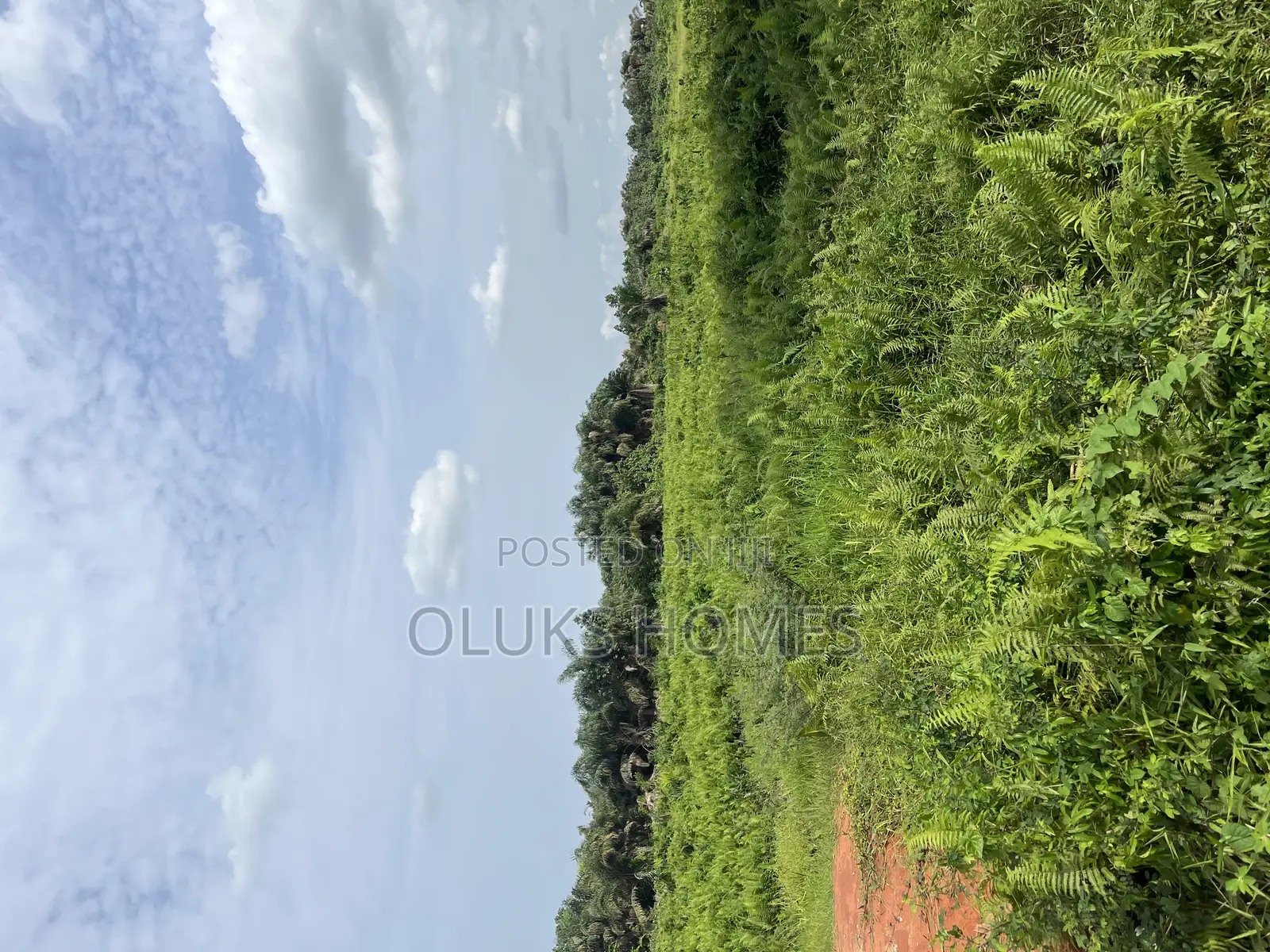 Dry Land Available for Sale in Arepo in Berger