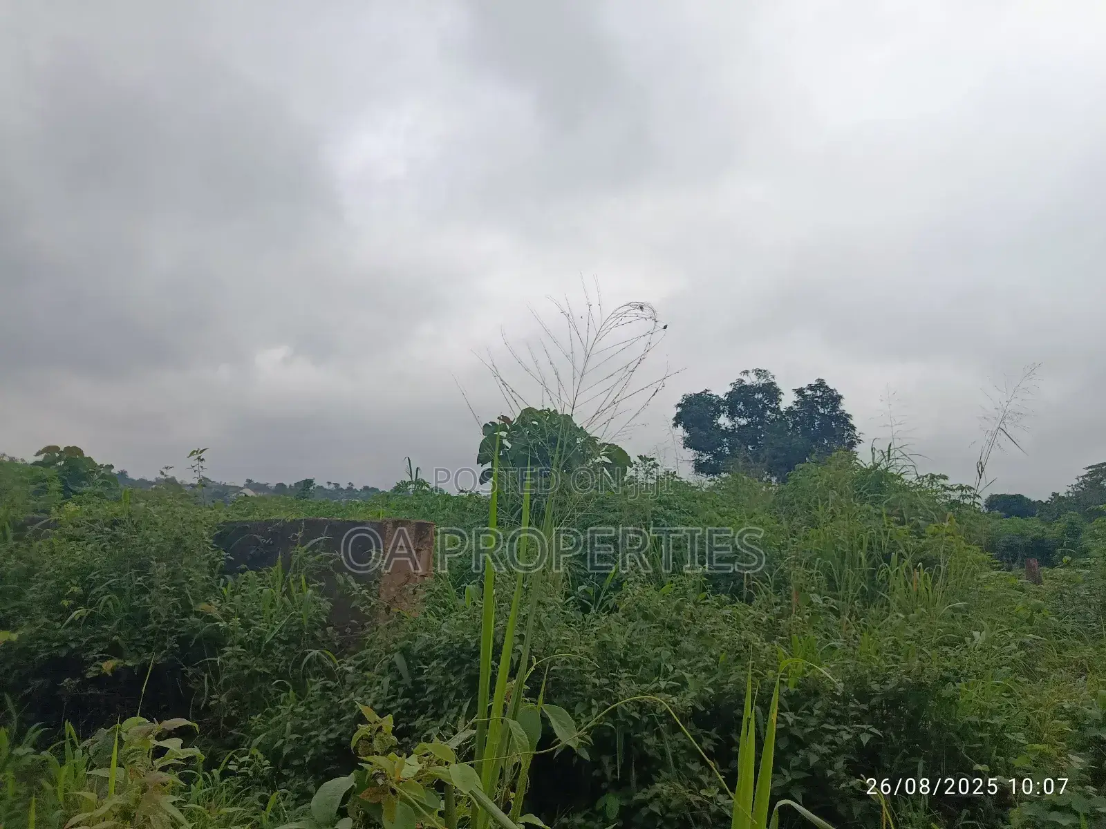 Plots of Land for Sale Along Iita Rd, Laniba,Ajibode Ui Extn, Ibadan in Ibadan