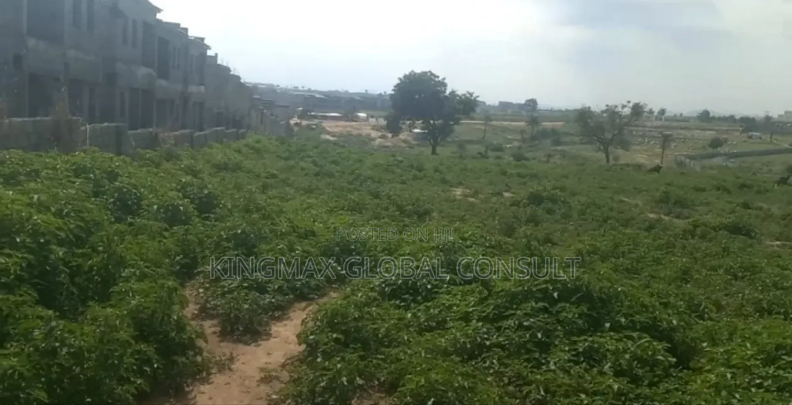 1hecter Land for Sale at Idu in Idu