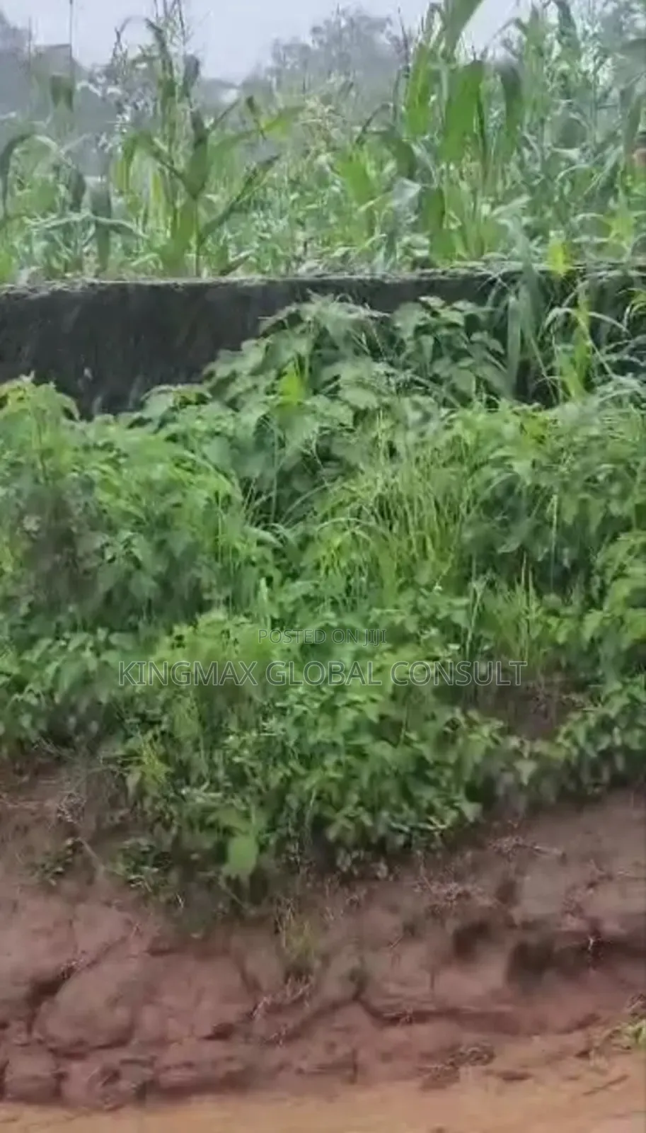 Land Plot for Sale With Cofo in Dape