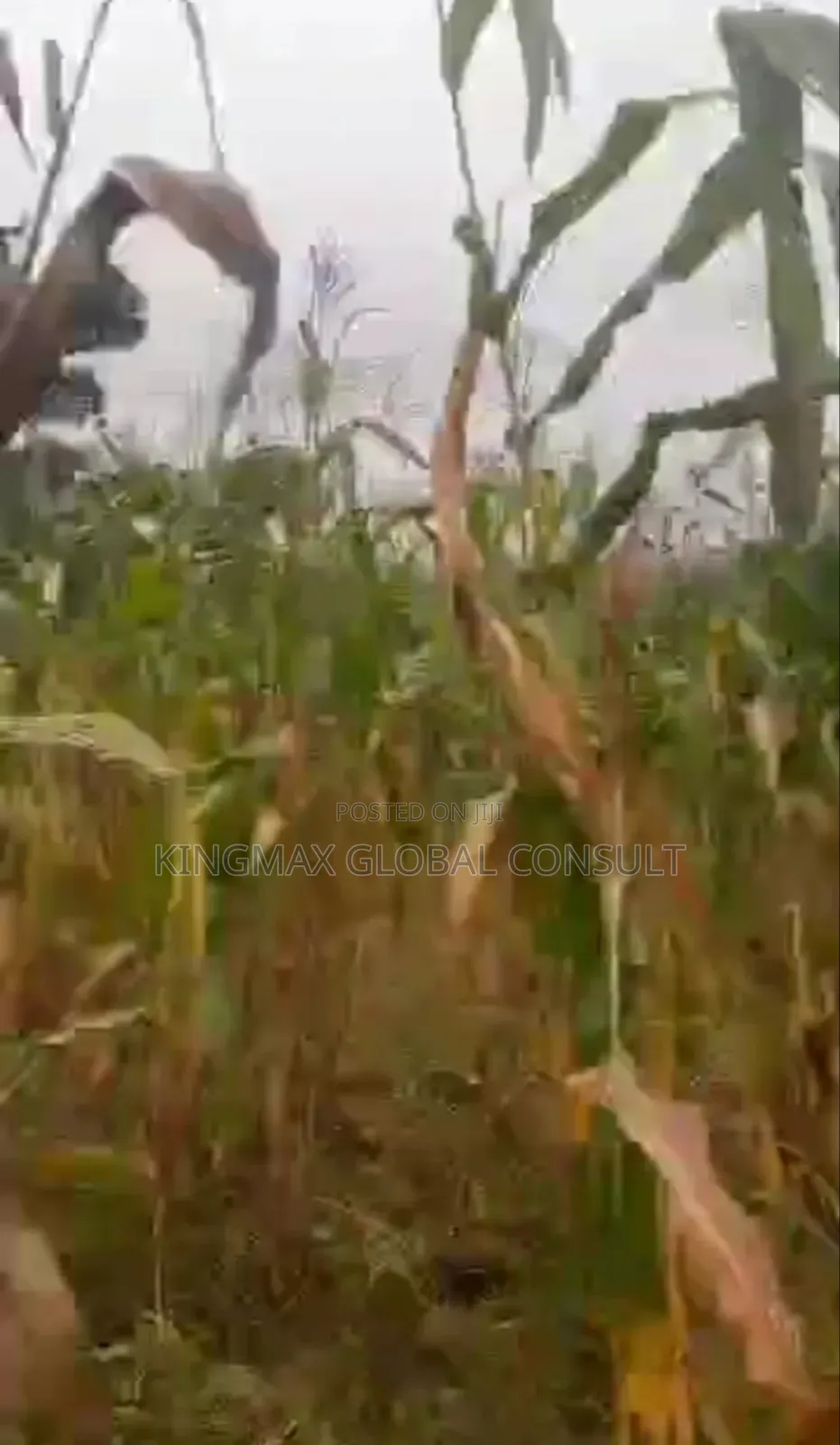 Land for Sale: Size: 29.78 Hectares -Fcda Rofo Purpose: Mixed Use in Maitama