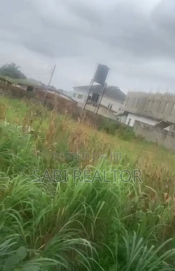 Virgin Full Plot of Land Suitable for Any Commercial Purpose at Command in Abule Egba
