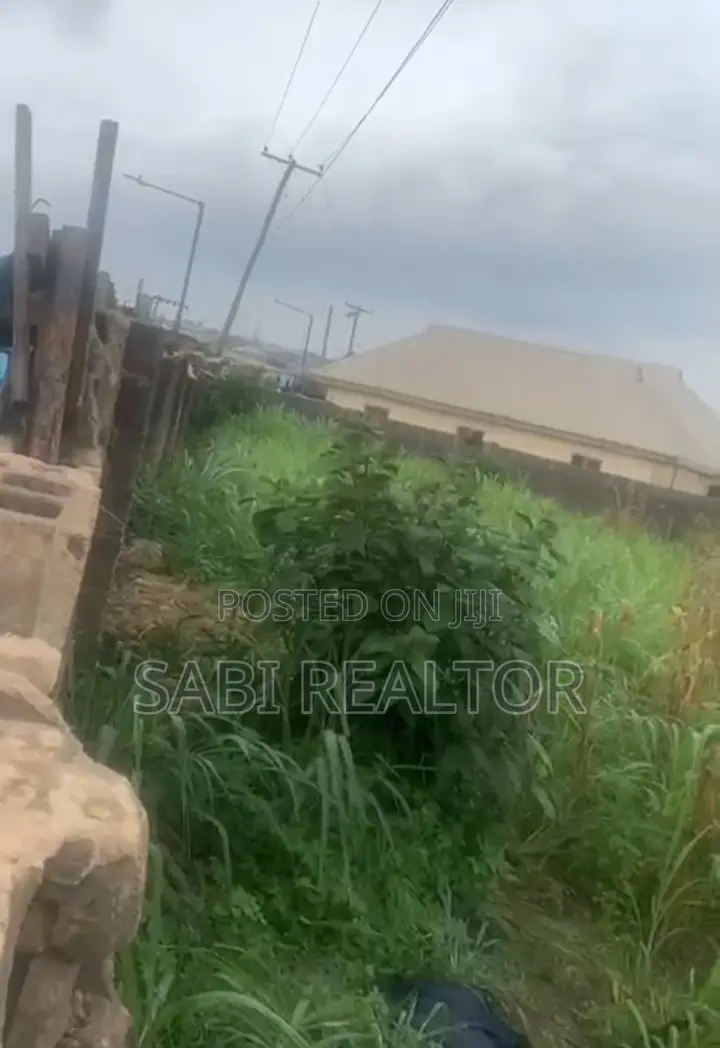 Virgin Full Plot of Land Suitable for Any Commercial Purpose at Command in Abule Egba