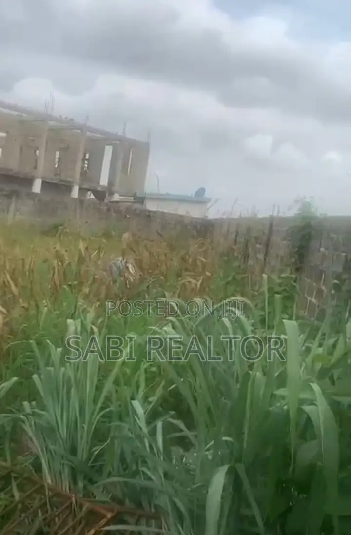 Virgin Full Plot of Land Suitable for Any Commercial Purpose at Command in Abule Egba