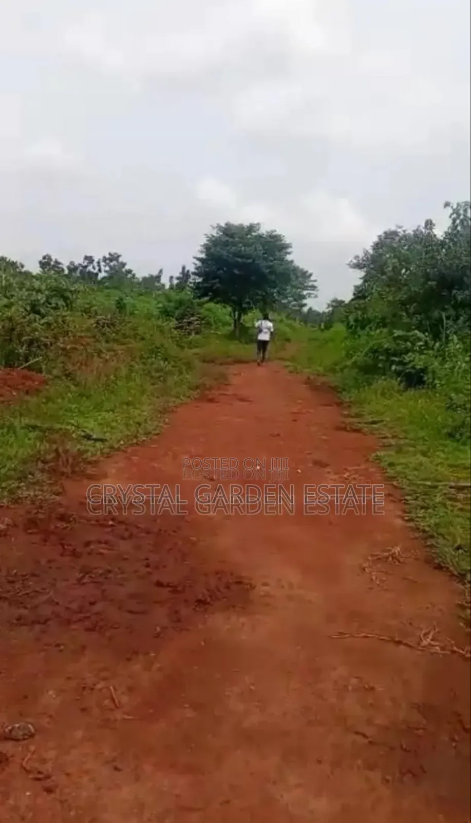 50x100sq.Meter: Land For Sale At Oko River. in Oji-River