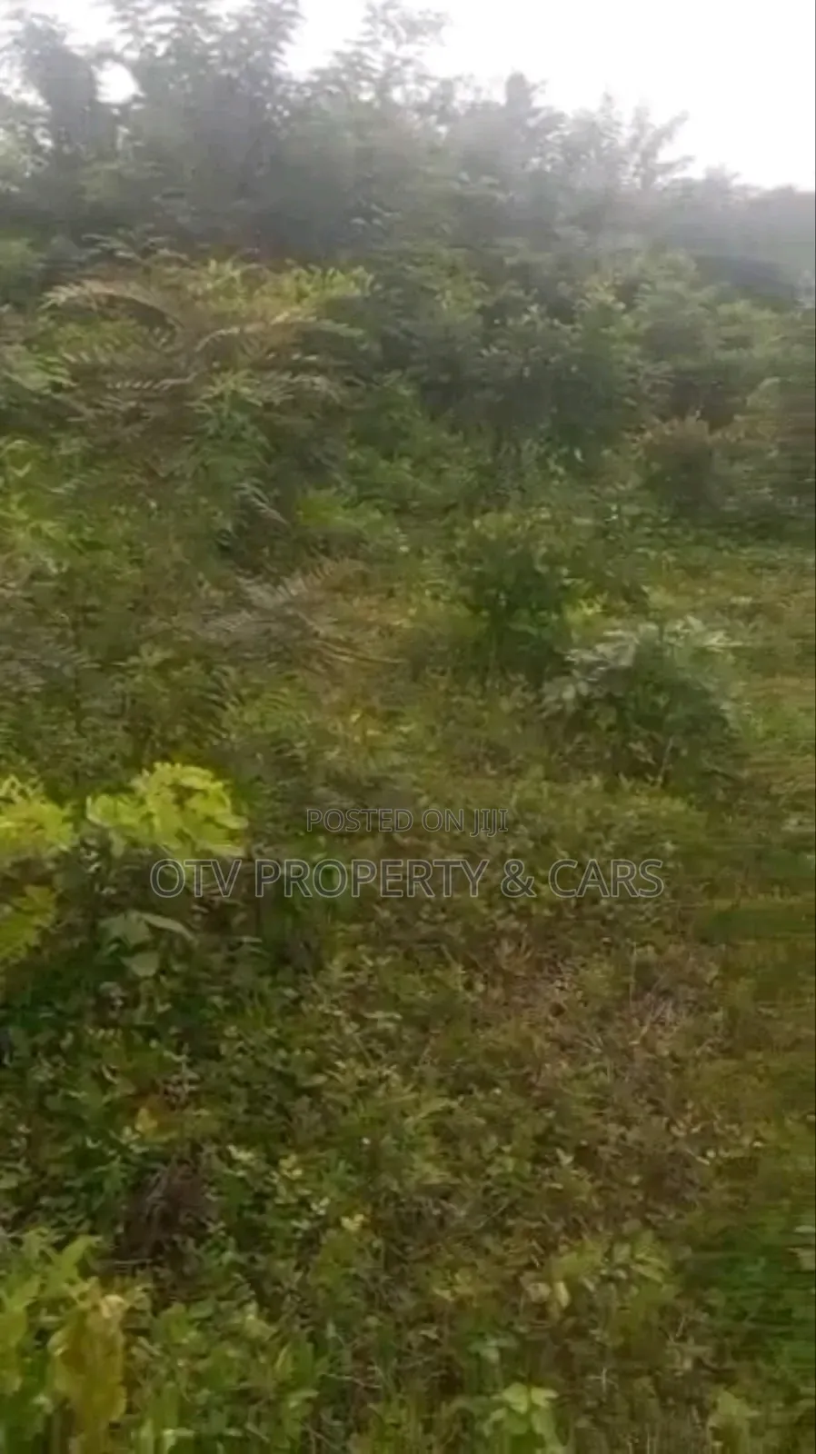 Standard 4plots of Land at Elekuru Road Along Iseyin Road Alabata in Moniya