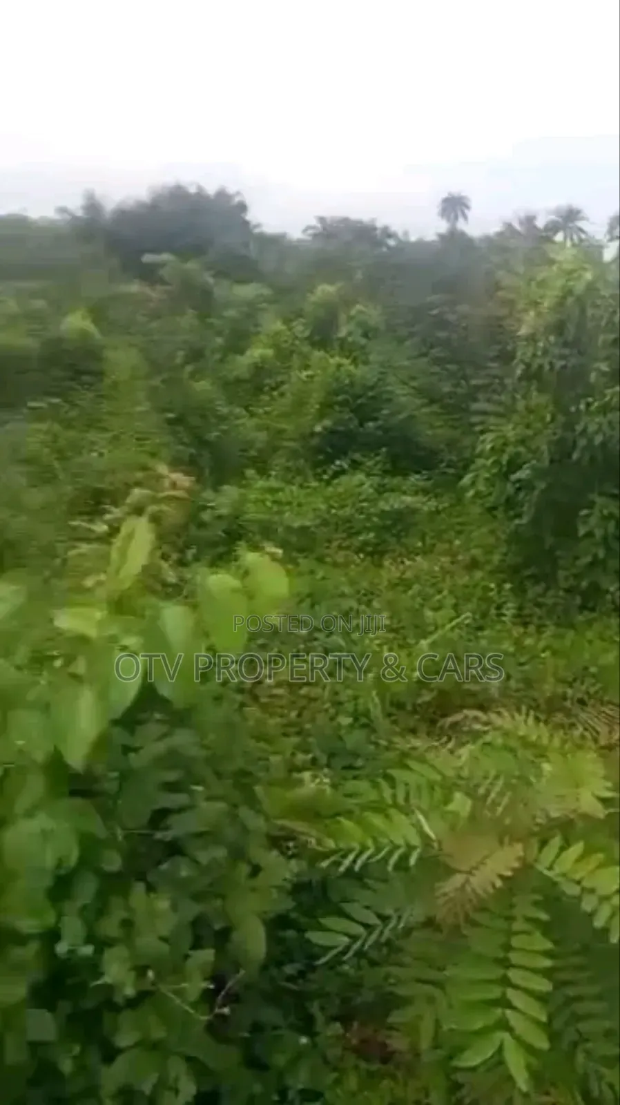 Standard 4plots of Land at Elekuru Road Along Iseyin Road Alabata in Moniya