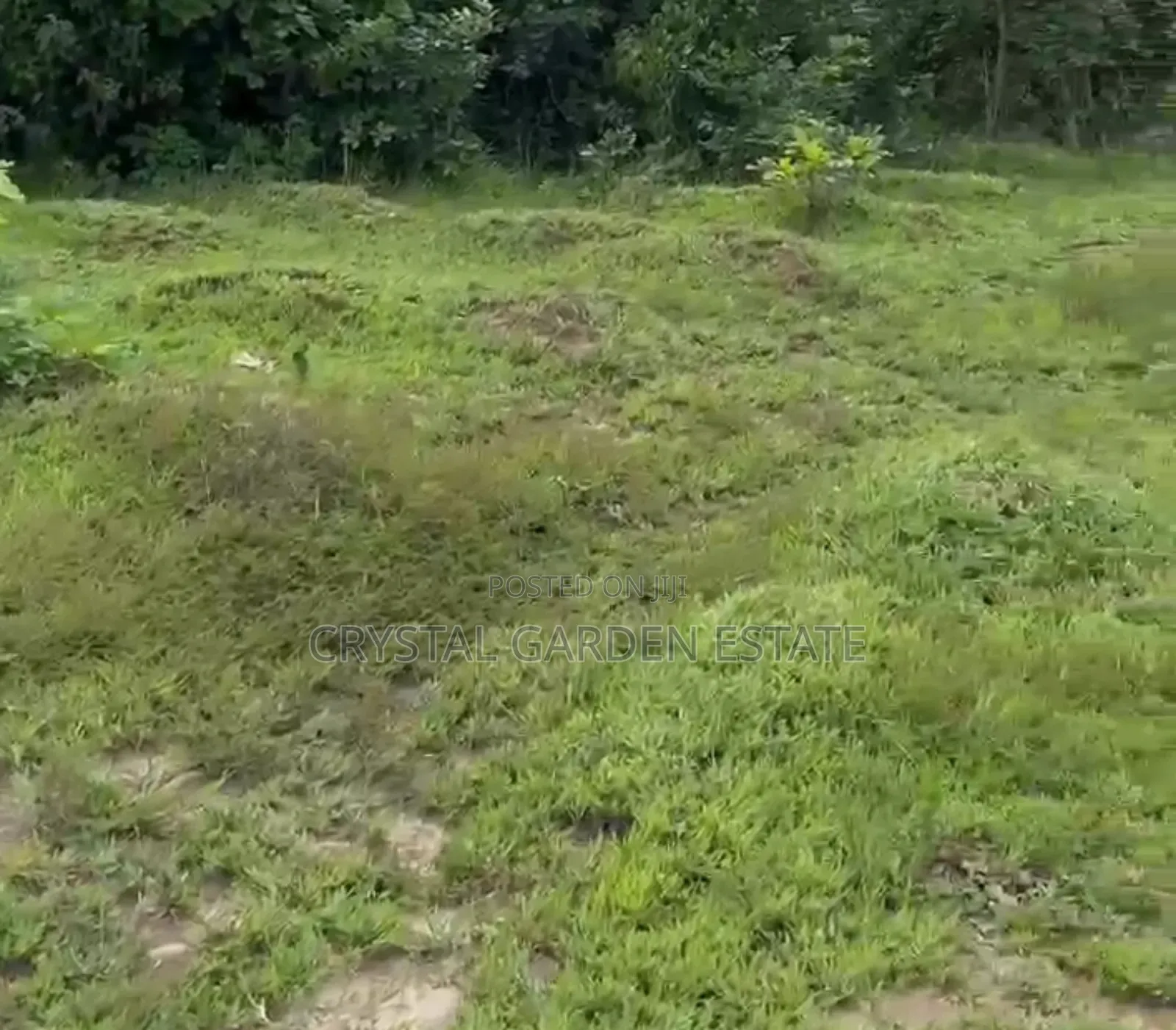 50x100sq.Meter; Land for Sale at Edoh Ogwashi. in Isi-Uzo