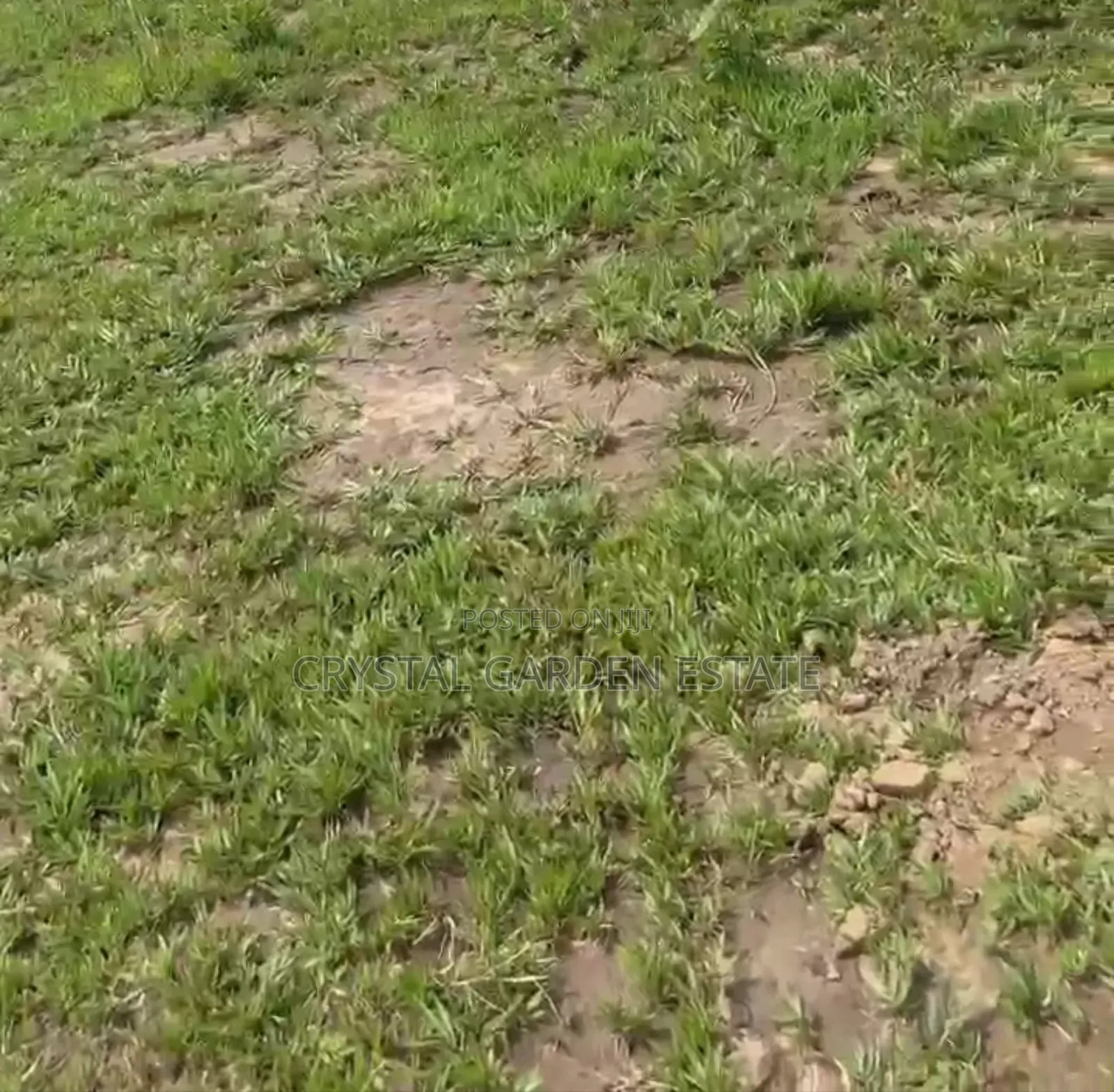 50x100sq.Meter; Land for Sale at Edoh Ogwashi. in Isi-Uzo