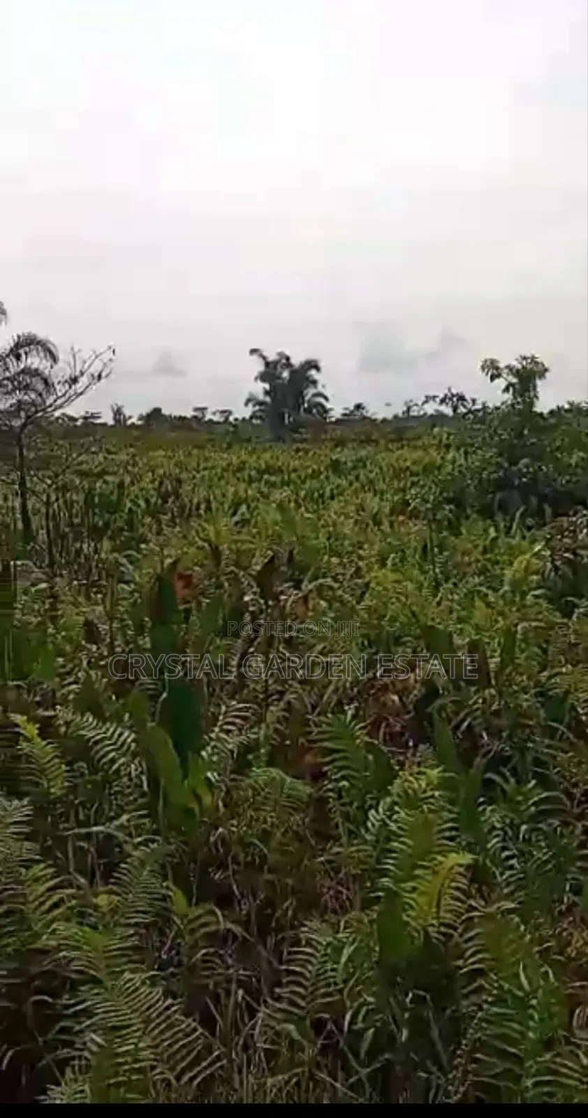 50x100sq.Meter Land For Sale At Achalla Anambra State. in Anambra East
