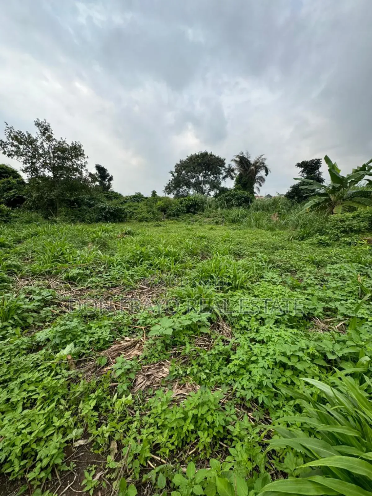 511 SQM Wet Land for Sale at Idi Orogbo Ojurin Akobo Area Ibadan in Akobo